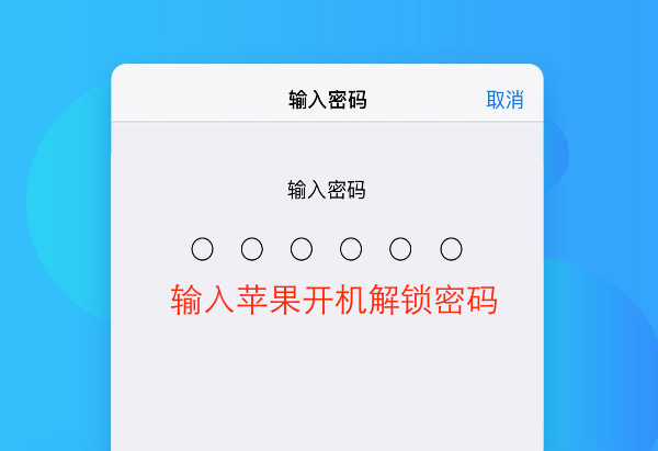 步骤3：输入密码